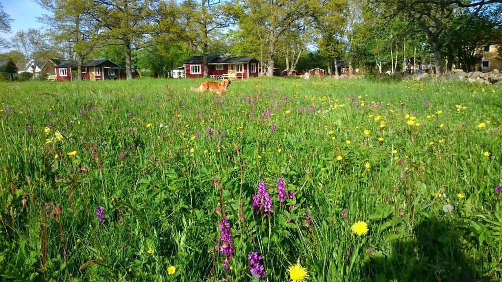 Stf Hagaby/Lantgarden Hostel Löttorp Buitenkant foto
