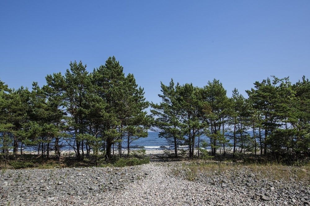 Stf Hagaby/Lantgarden Hostel Löttorp Buitenkant foto