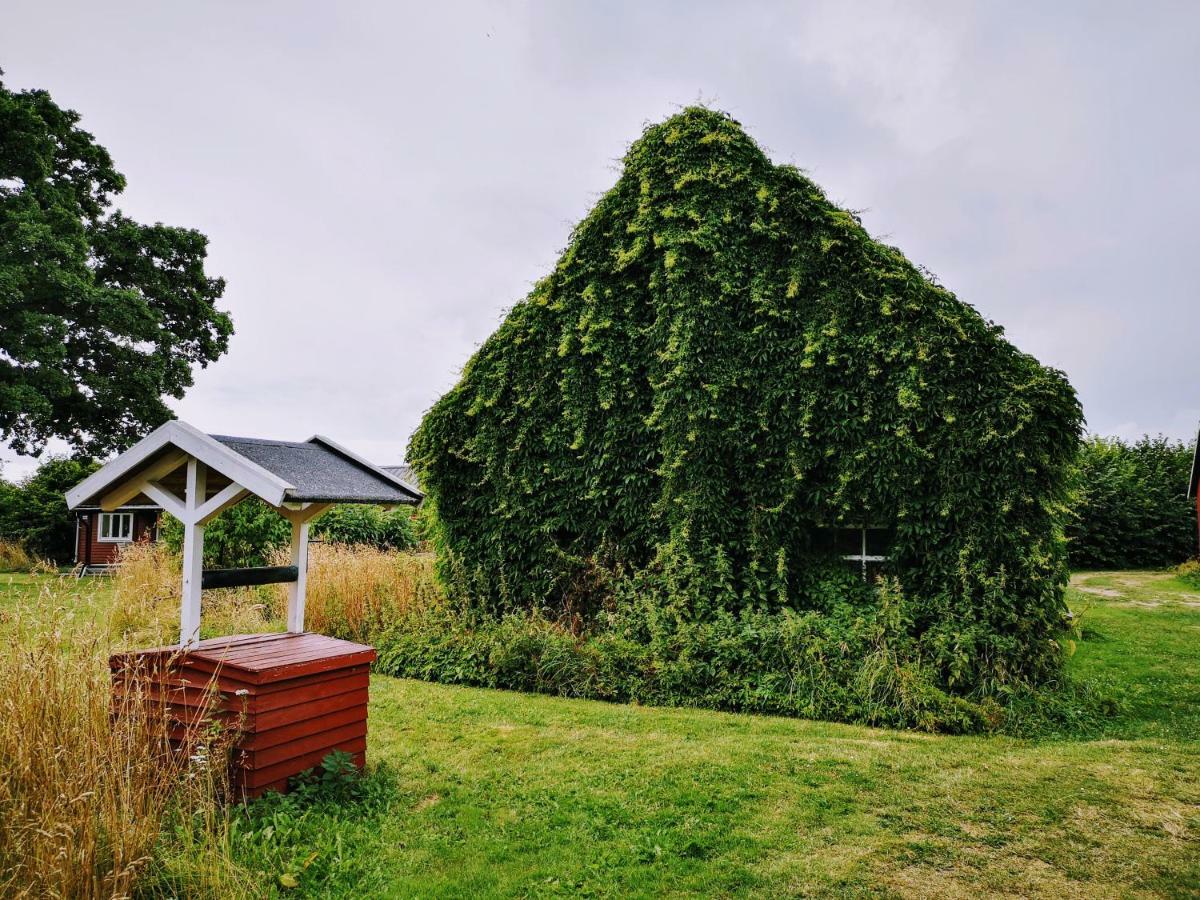 Stf Hagaby/Lantgarden Hostel Löttorp Buitenkant foto